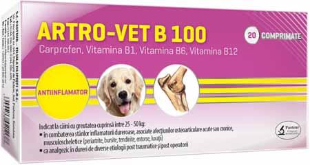 Farmavet Group - ARTRO–VET B 100